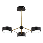 SLE6005-402-03 Светильник потолочный Черный, Золотистый/Черный LED 3*10W ВАЛЛЕ 250_100_Array